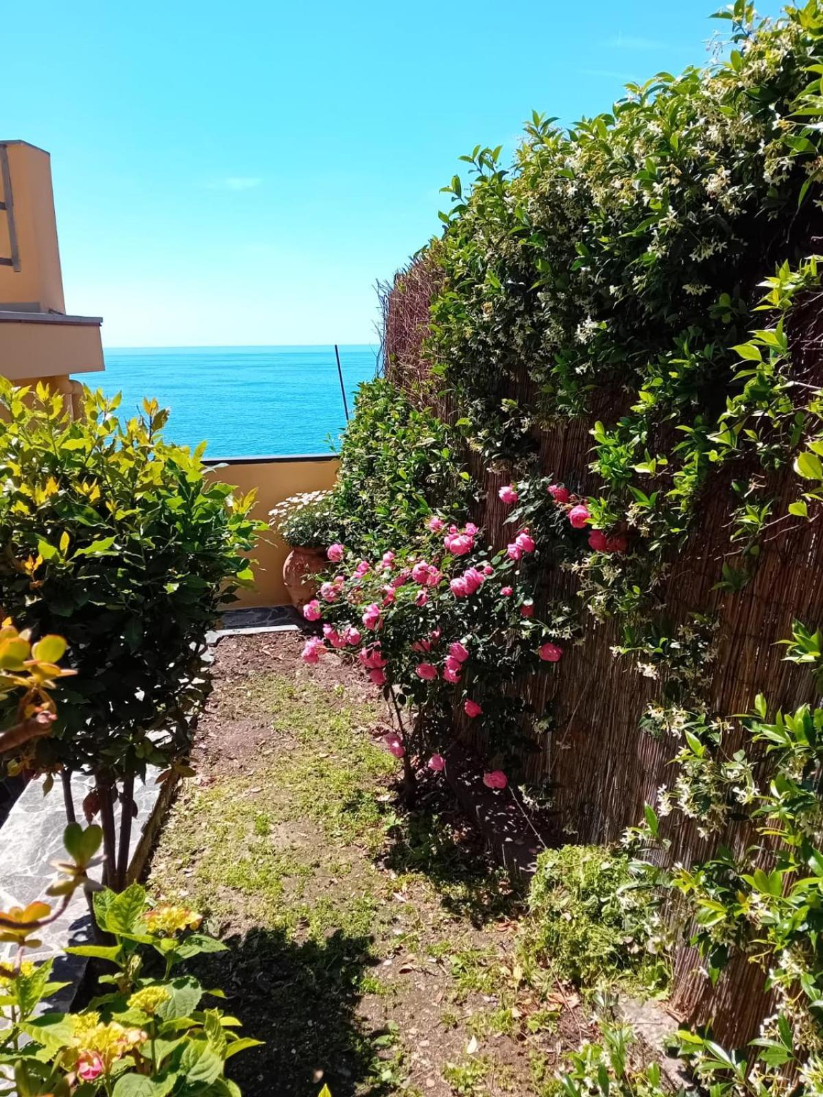Raggio Di Luna Manarola Exteriér fotografie